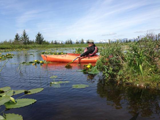 Paddling to a Nest Island in a Pond